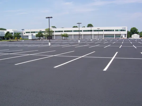 Line Striped Parking Spaces